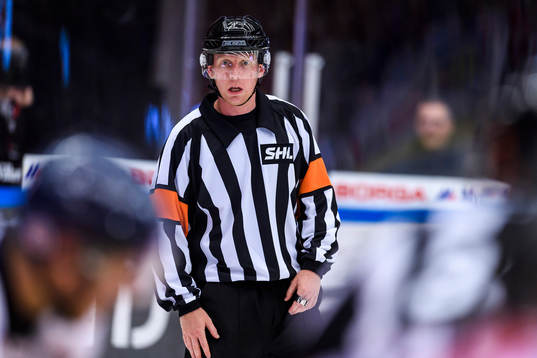 Domare Mikael Holm