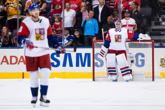 Tjeckiens målvakt Michal Neuvirth deppar
