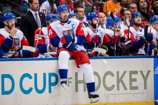 Tjeckiens Tomas Plekanec deppar