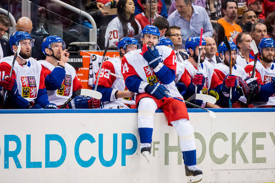 Tjeckiens Tomas Plekanec deppar