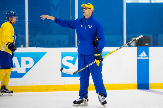 Sveriges assisterande tränare Peter Popovic