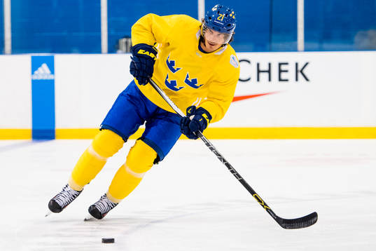 Sveriges Loui Eriksson