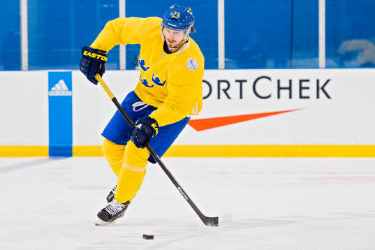 Sveriges Oliver Ekman Larsson