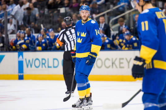 Sveriges Mattias Ekholm