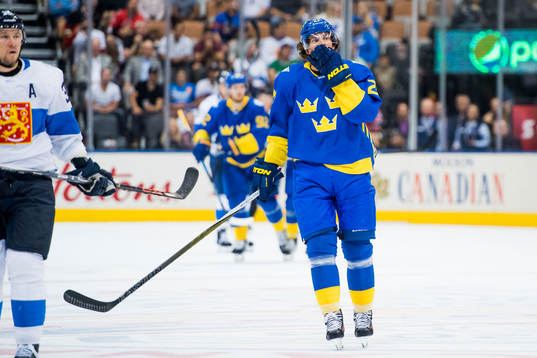 Sveriges Loui Eriksson jublar