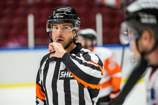Domaren Mikael Sjöqvist