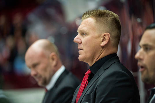 Malmö Redhawks assisterande tränare Jesper Mattsson
