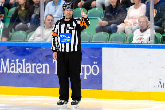 Domare Patrik Sjöberg
