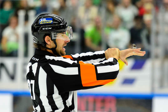 Domare Mikael Sjöqvist