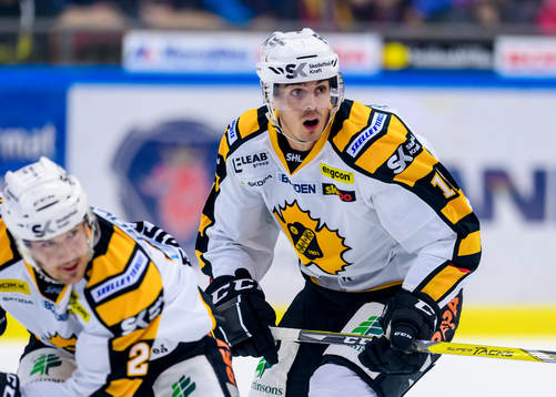 Skellefteås Henrik Hetta