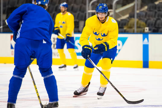 Sveriges Loui Eriksson