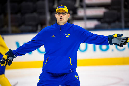 Sveriges assisterande tränare Peter Popovic