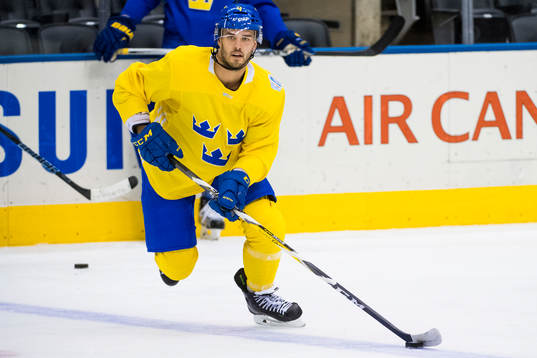 Sveriges Niklas Hjalmarsson