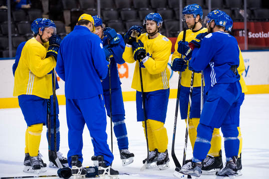 Sveriges assisterande tränare Peter Popovic instruerar