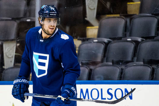 Europas Anze Kopitar