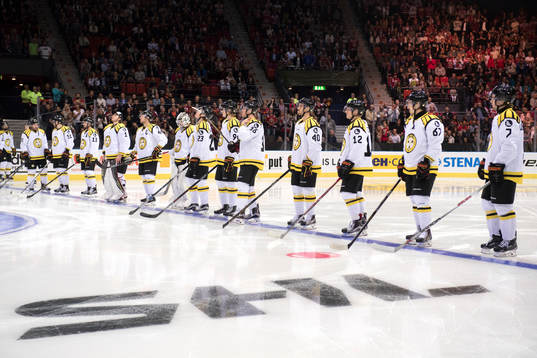 Brynäs spelare