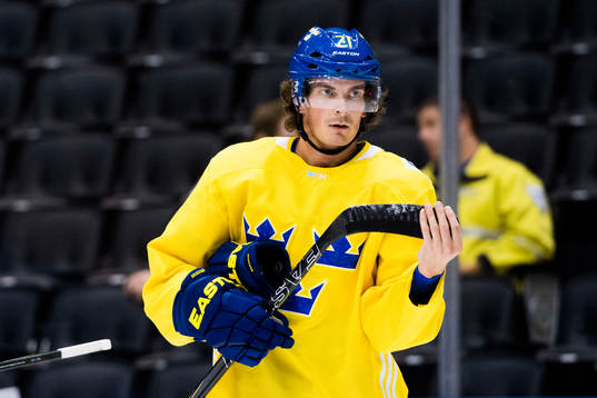 Sveriges Loui Eriksson