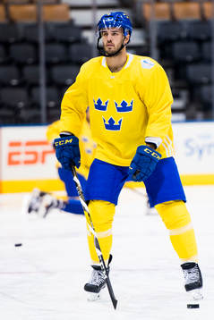 Sveriges Niklas Hjalmarsson