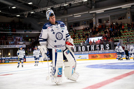 Leksands +le35 deppar