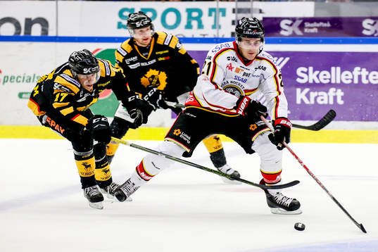 Skellefteås Pär Lindholm