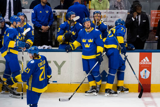 Sveriges spelare deppar på bänken