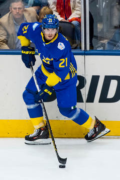 Sveriges Loui Eriksson