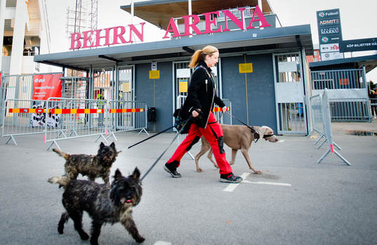 En tjej med tre hundar går förbi entrén till Behrn Arena