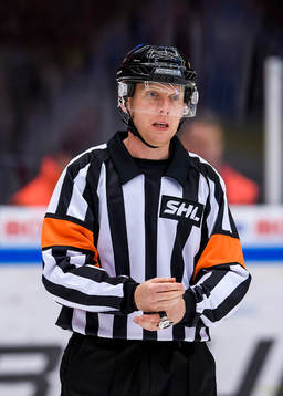 Domare Mikael Holm