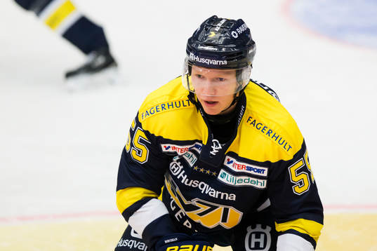 s Andreas Borgman