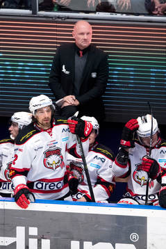 Malmö Redhawks tränare Peter Andersson