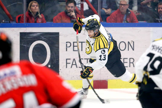 Brynäs Ryan Gunderson