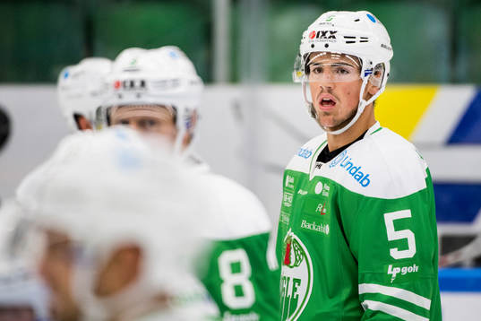 Rögles Alen Bibic