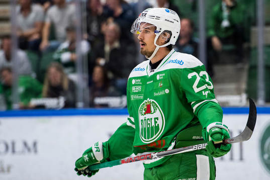 Rögles Daniel Sylwander deppar
