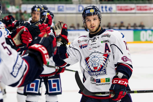 Linköpings Andrew Gordon jublar med båset