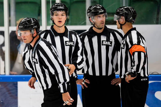 Domare Ludvig Lundgren, Alexander Waldejer, Linus Öhlund