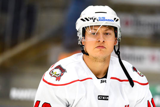 Malmö Redhawks Rhett Rakhshani
