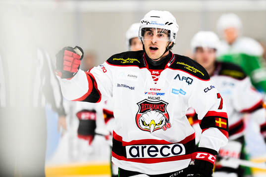 Malmö Redhawks Nils Andersson jublar