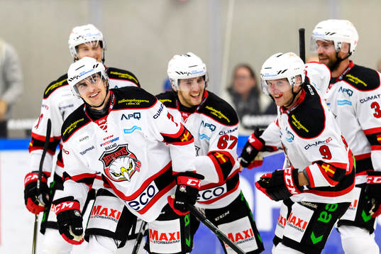 Malmö Redhawks spelare jublar