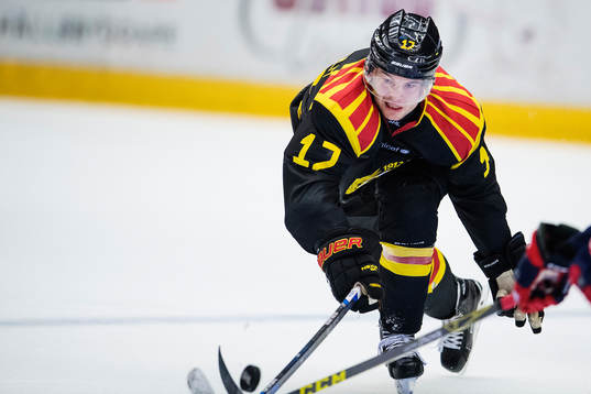 Brynäs Pathrik Westerholm