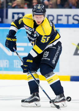 s Andreas Borgman