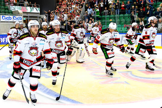 Malmö Redhawks spelare jublar