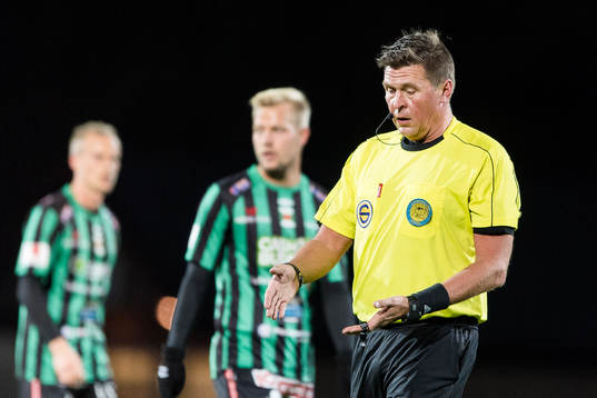 Domare Antti Kanerva
