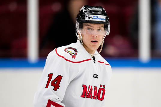 Malmö Redhawks Carl-Johan Lerby
