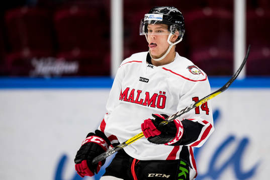 Malmö Redhawks Carl-Johan Lerby
