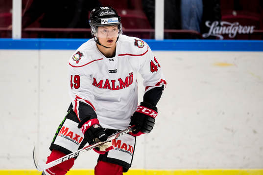 Malmö Redhawks Rhett Rakhshani