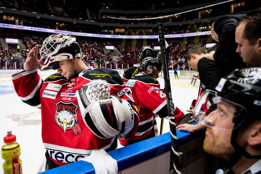 Malmö Redhawks målvakt Oscar Alsenfelt