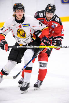 Lejons Henrik Hedman