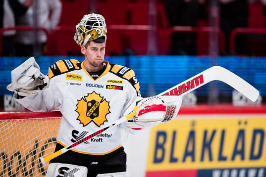 Skellefteås målvakt Gustaf Lindvall ser deppig ut