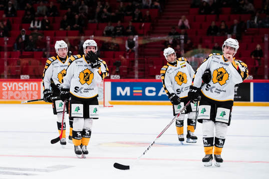 Skellefteås Niclas Burström och Adam Pettersson deppar