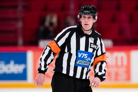 Domare Morgan Johansson